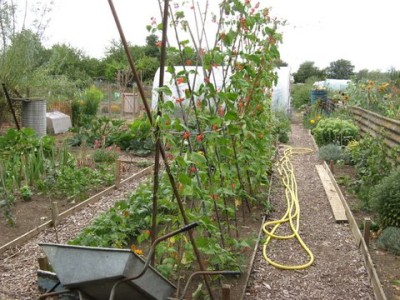 West End Allotment