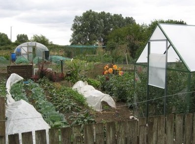 West End Allotment
