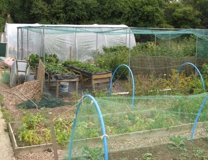 West End Allotment