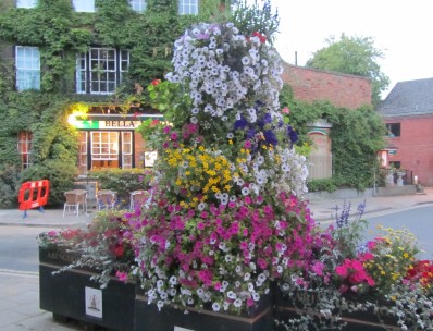 Abingdon In Bloom