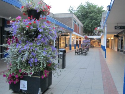 Abingdon In Bloom