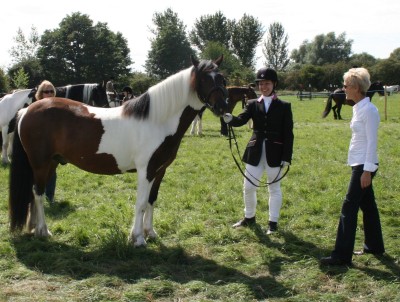Abingdon Horse Show 2010