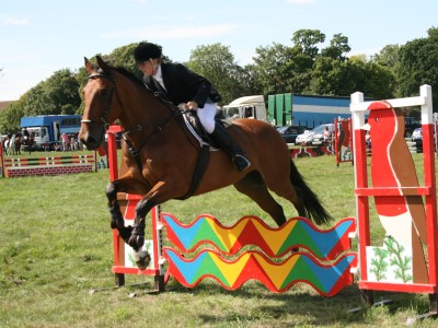 Abingdon Horse Show 2010