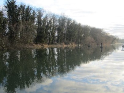 At Abingdon Weir