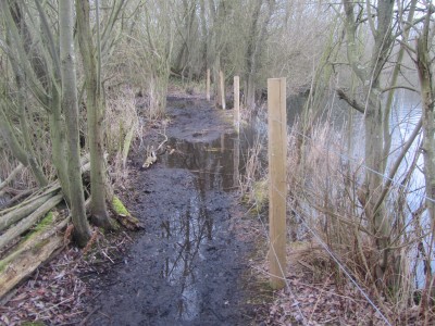 Radley Lakes