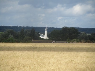 Fields of Wheat and Barley