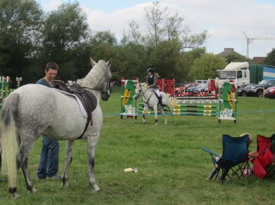 Horse Show