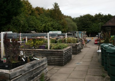 Tesco Garden Centre