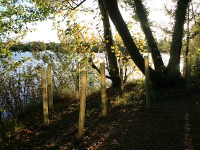 Radley Lakes