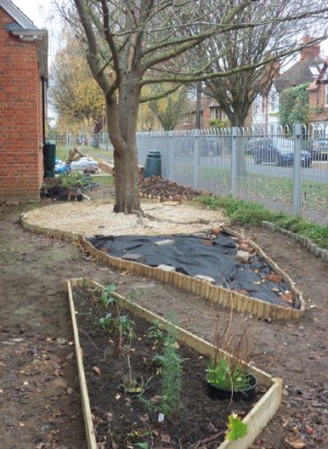 community garden