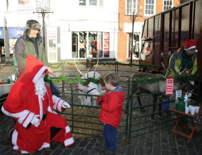 Feeding Reindeer