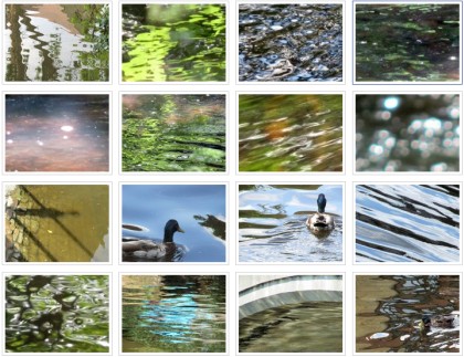 Ripples