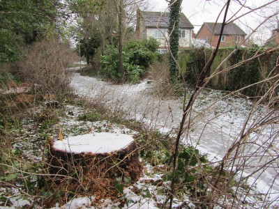 Snow