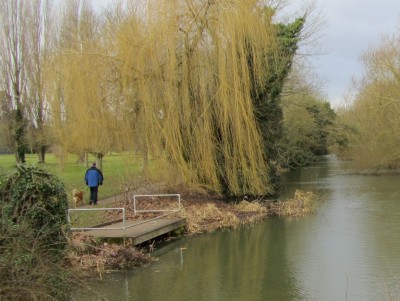 Abbey Mill Stream