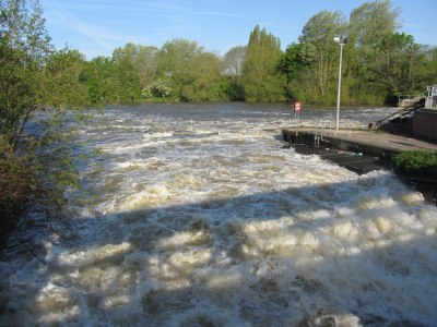 Dragon Boats - postponed