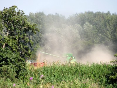 Harvest Time