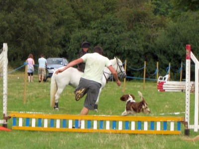 Horse Eventing in Abingdon Compared
