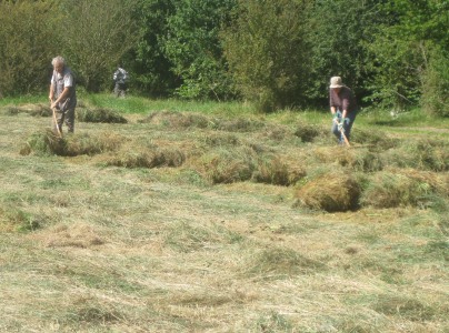 Hay Raking in Barton Fields