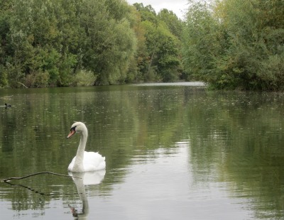 Radley Lakes