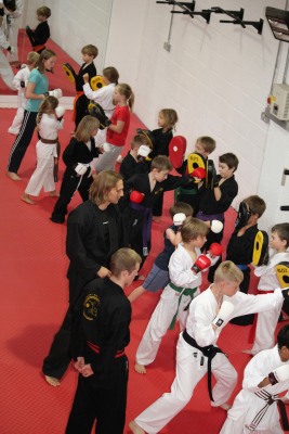 The Abingdon Dojo