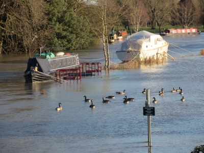 River Thames continues to rise