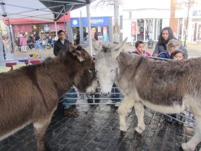 Polyanne's Friends