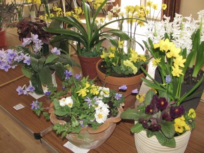 Abingdon Horticultural Society
