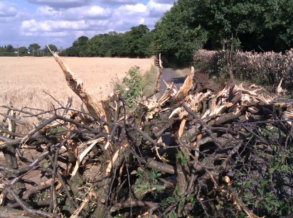 Hedge Cutting