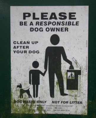 Pet Owners Take Care