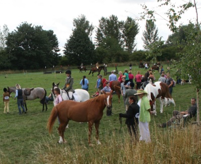 Abingdon Horse Show