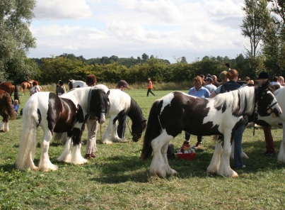 Abingdon Horse Show