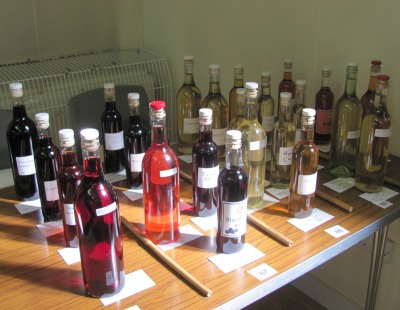Abingdon Horticultural Society's Autumn Show