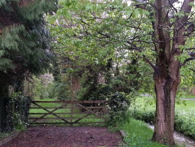 Harcourt Way Tree Nursery