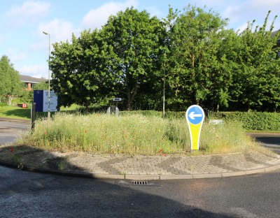 Wildflower / Truck Traffic Island