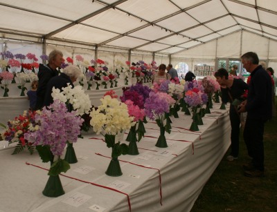 National Sweet Pea Show