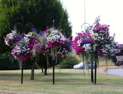floral displays