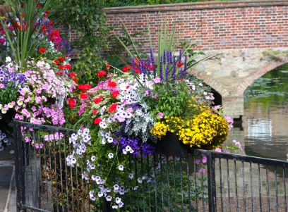 floral displays