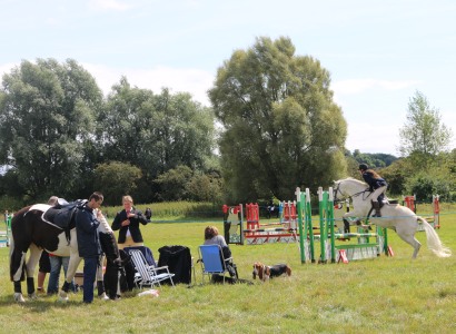 Abingdon Horse Show