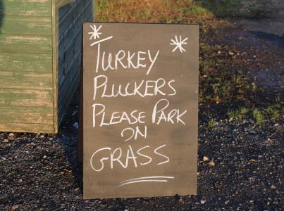 Turkey Plucking