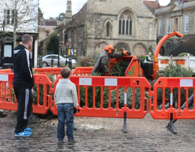 Recycling Christmas Trees