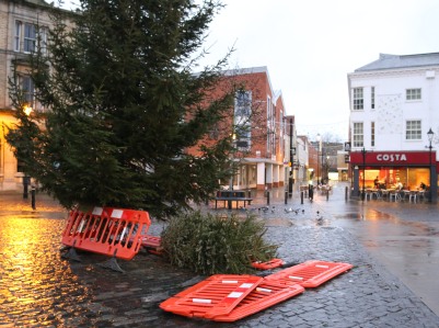 Recycling Christmas Trees