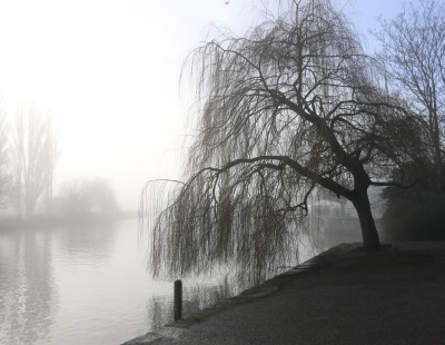 A Misty Start
