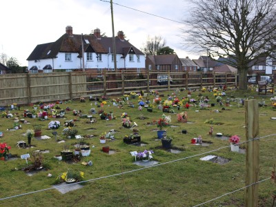 Blight and Mites attack Abingdon Cemetery