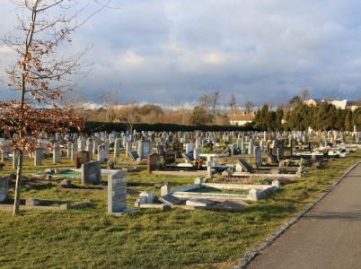 Blight and Mites attack Abingdon Cemetery