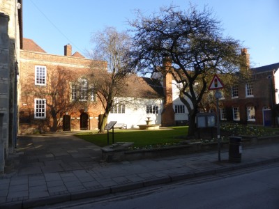 Trees Down in Roysse Court