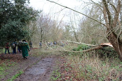 Boundary Walk