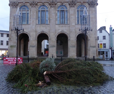 Recycling Christmas Trees