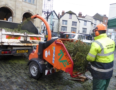 Recycling Christmas Trees