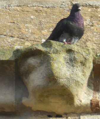 Stone Faces at St Helens