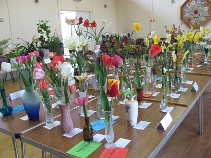 Abingdon Horticultural Society Spring Show